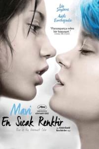 Mavi En Sıcak Renktir (2013) poster