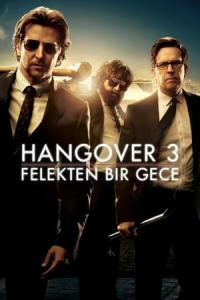 Felekten Bir Gece 3 (2013) poster
