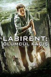 Labirent: Ölümcül Kaçış (2014) poster