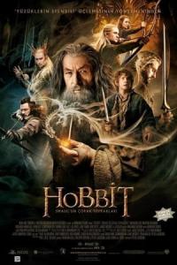 Hobbit: Smaug'un Çorak Toprakları (2013) poster