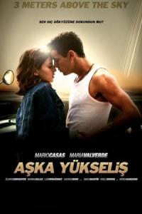 aşka Yükseliş (2010) poster
