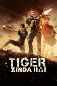 Tiger Zinda Hai (2017) poster