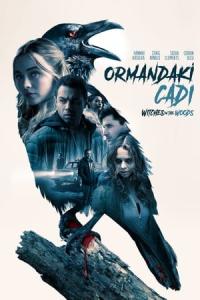 Ormandaki Cadı (2019) poster