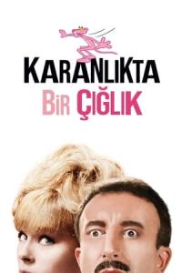 Karanlıkta bir çığlık (1964) poster