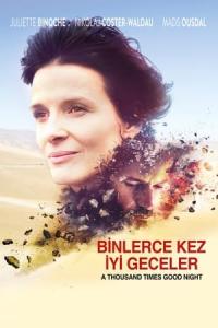 Binlerce Kez İyi Geceler (2013) poster