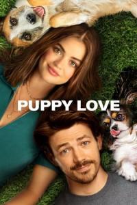 Puppy Love (2023) poster