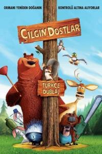 Çılgın Dostlar (2006) poster