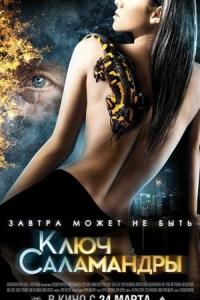 Klyuch salamandry (2011) poster