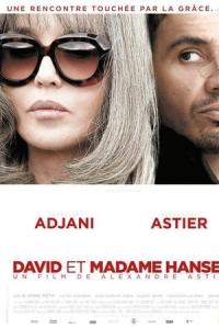 David et Madame Hansen (2012) poster