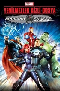 Yenilmezler Gizli Dosya: Kara Dul & Cezalandırıcı (2014) poster