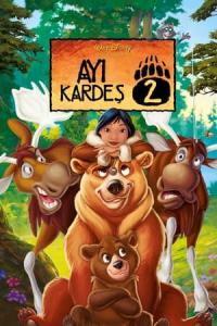 Ayı Kardeş 2 (2006) poster