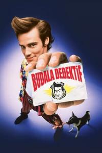 Budala Dedektif (1994) poster
