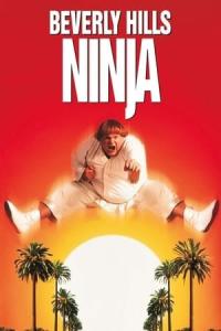 Beverly Hills Ninja (1997) poster