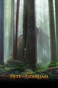 Pete ve Ejderhası (2016) poster