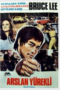 Ejderin Üç Fedaisi (1973) poster