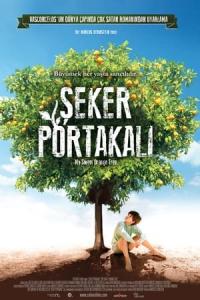 Şeker Portakalı (2013) poster