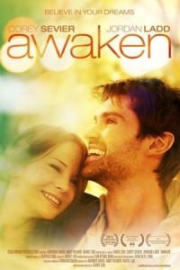 Awaken (2013) poster