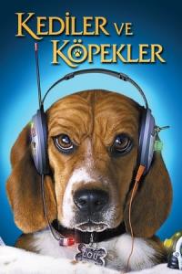Kediler ve köpekler (2001) poster