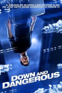 Down and Dangerous (2013) poster