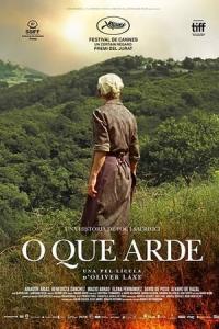 Yangın Yeri (2019) poster