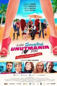 Eski Sevgiliyi Unutmanın 10 Yolu (2015) poster