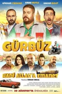 Gürbüz: Hadi Allah'a Emanet (2018) poster