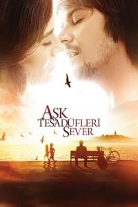 Ask Tesadüfleri Sever (2011) poster