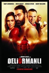 Deliormanlı (2016) poster