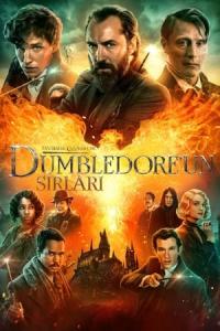 Fantastik Canavarlar: Dumbledore'un Sırları (2022) poster