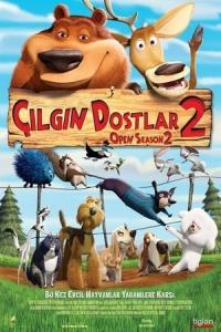 Çılgın Dostlar 2 (2008) poster