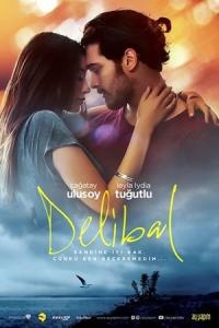 Delibal (2015) poster