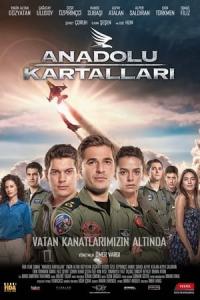 Anadolu Kartalları (2011) poster