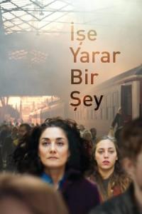 İşe Yarar Bir Şey (2017) poster