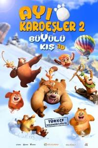 Ayı Kardeşler: Büyülü Kış (2015) poster