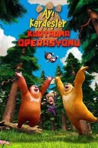 Ayı Kardeşler: Kurtarma Operasyonu (2014) poster