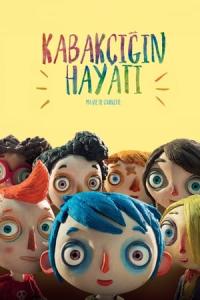 Kabakçığın Hayatı (2016) poster