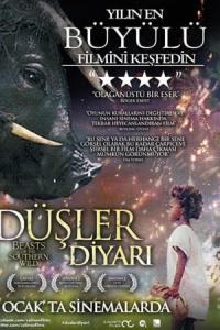 Düşler Diyarı (2012) poster