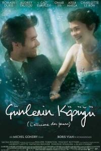 Günlerin Köpüğü (2013) poster