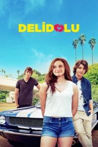 Delidolu (2018) poster