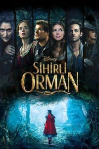 Sihirli Orman (2014) poster