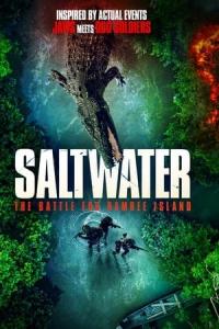 Saltwater: The Battle for Ramree Island (2021) poster