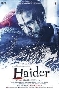 Haider (2014) poster