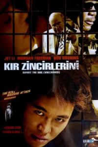 Kır Zincirlerini (2005) poster