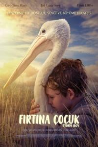 Fırtına Çocuk (2019) poster