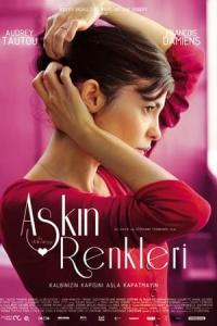Aşkın Renkleri (2011) poster
