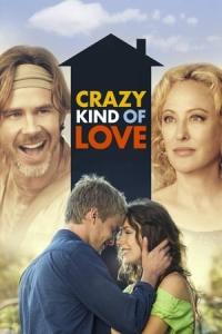 Crazy Kind of Love (2013) poster