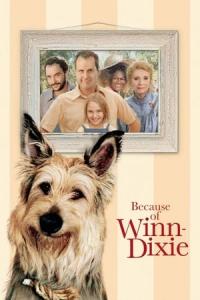 Because of Winn-Dixie (2005) poster