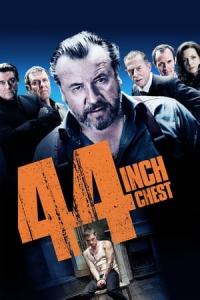 44 Inch Chest (2009) poster