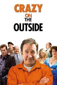 Crazy on the Outside (2010) poster