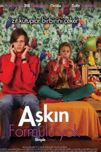 Aşkın Formülü Yok (2010) poster
